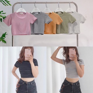 Áo Croptop Sọc Nhỏ Ôm Body (100% ảnh thật)