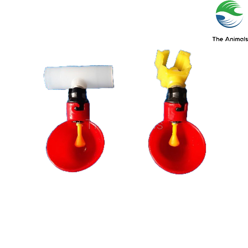 Ống nối - Kẹp ống cho máng uống tự động cho gà