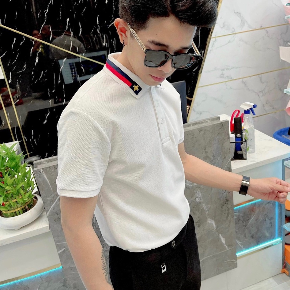 Áo polo Gucci Original thêu ong check cổ LA 2022 on web