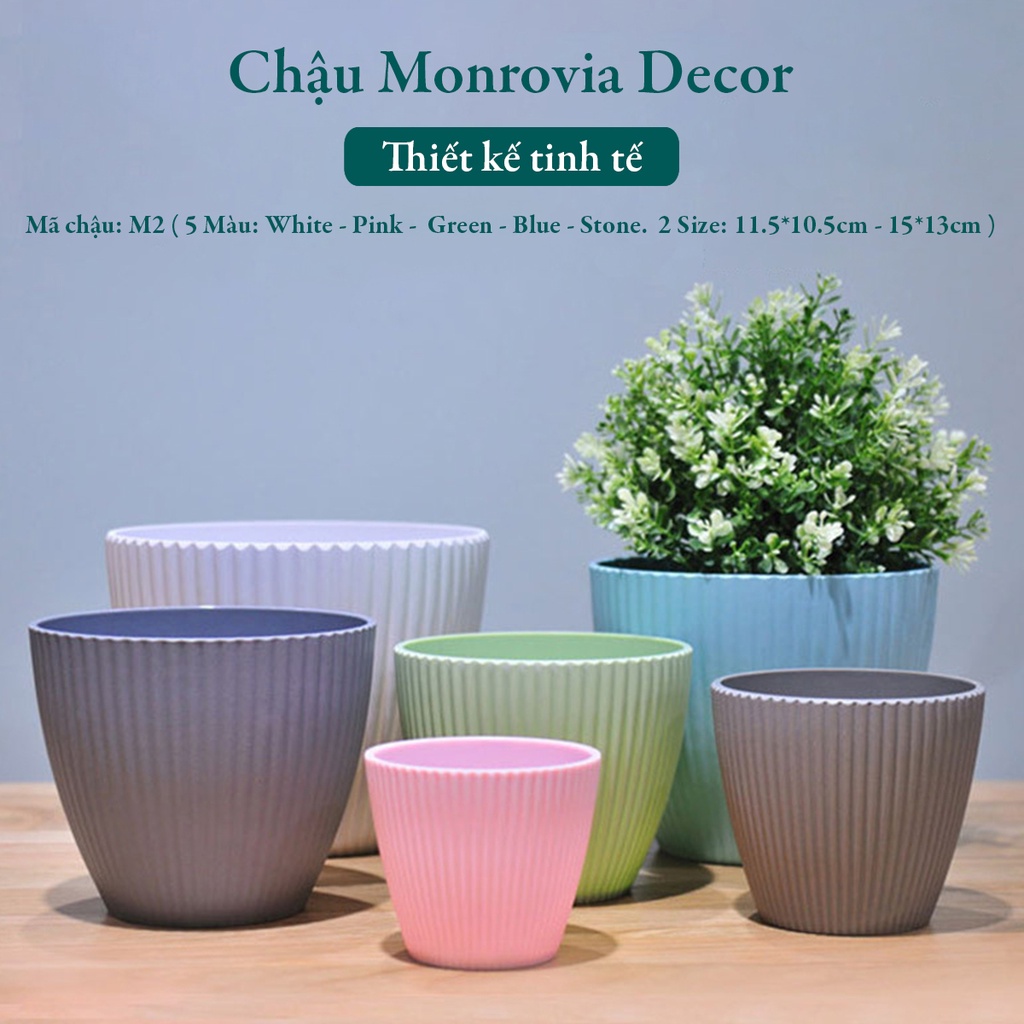 Chậu trồng cây mini MONROVIA cho sen đá, cây cảnh, hoa nhí, xương rồng, bonsai để bàn, ban công