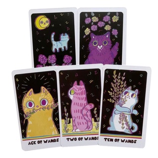 Bộ bài Weird Cat Tarot Size Thường H2