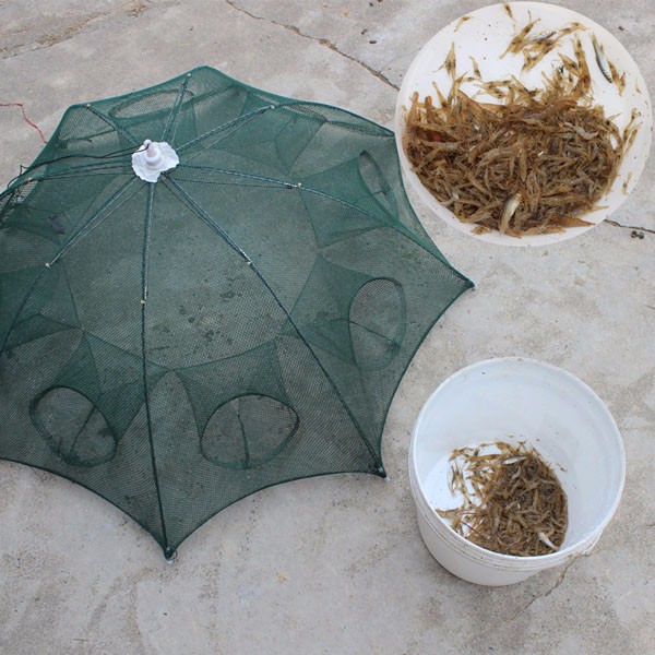 Lưới bắt cá bát quái