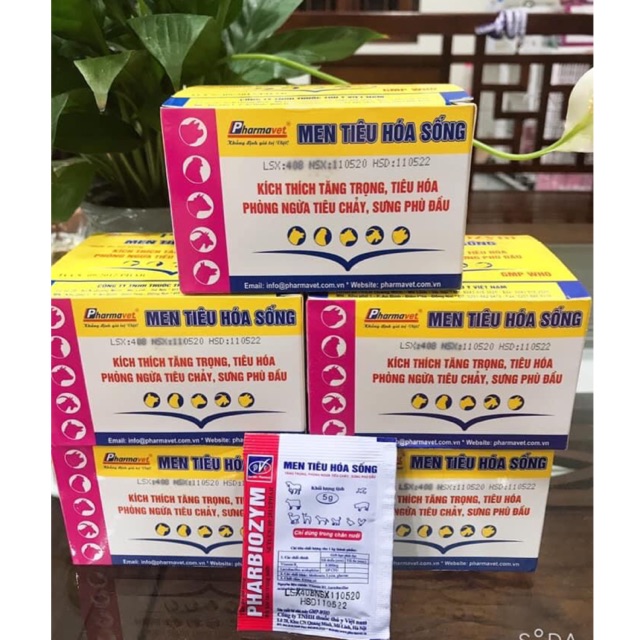 MEN TIÊU HOÁ SỐNG