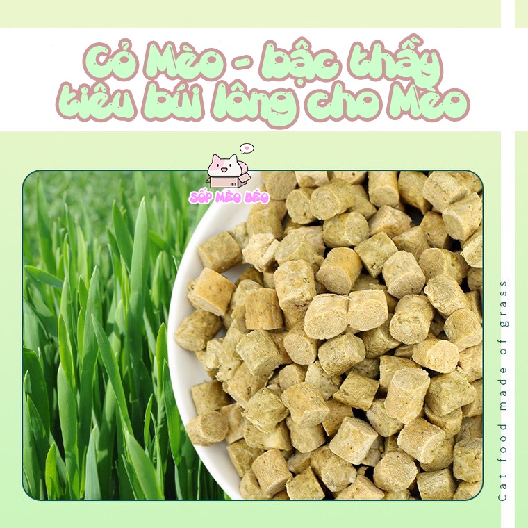 Viên bánh Catnip kết hợp thịt đông khô gói 20gr hãng JOY-tiêu lông tốt cho sức khỏe