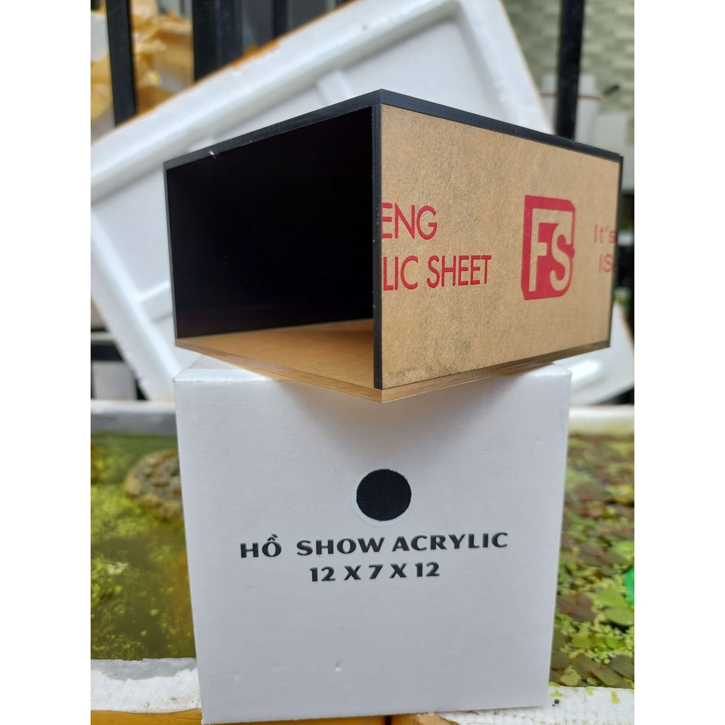 Bể show cá, Keo show, Bể cá mini acrylic, Bể cá Mica