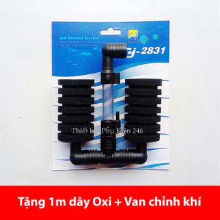 Lọc vi sinh Bio đôi dành cho hồ cá (100L)