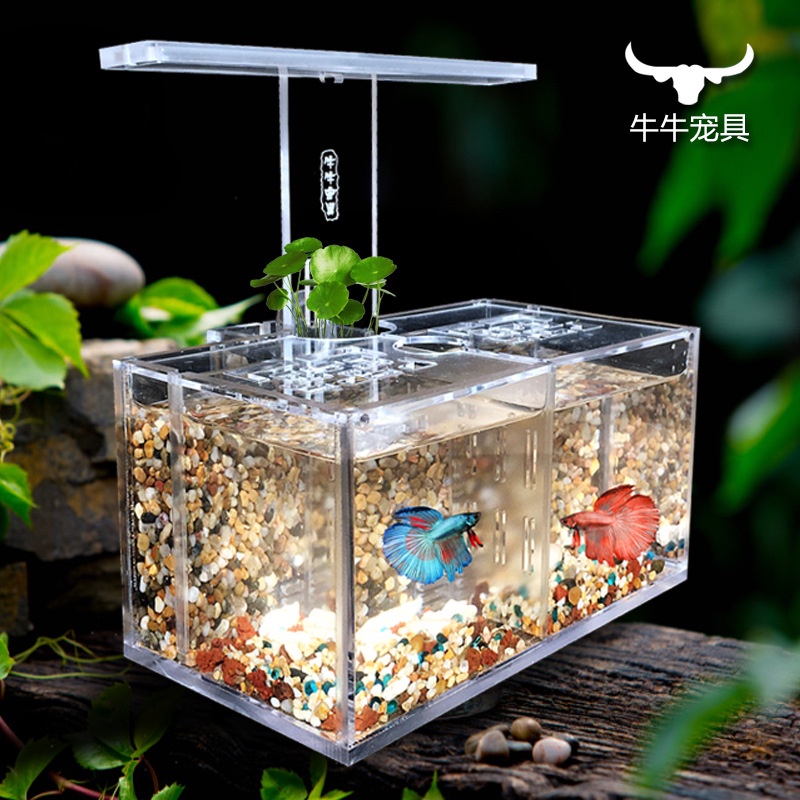 [hot sale]Đèn Bàn Bể Cá Xô Sáng Tạo Bể Cá Xô Acrylic Cách Ly Bể Cá Để Bàn Lọc Bể Cá Xả Oxy Không Thay Nước
