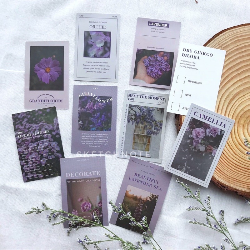 Sticker hoa vintage ST072