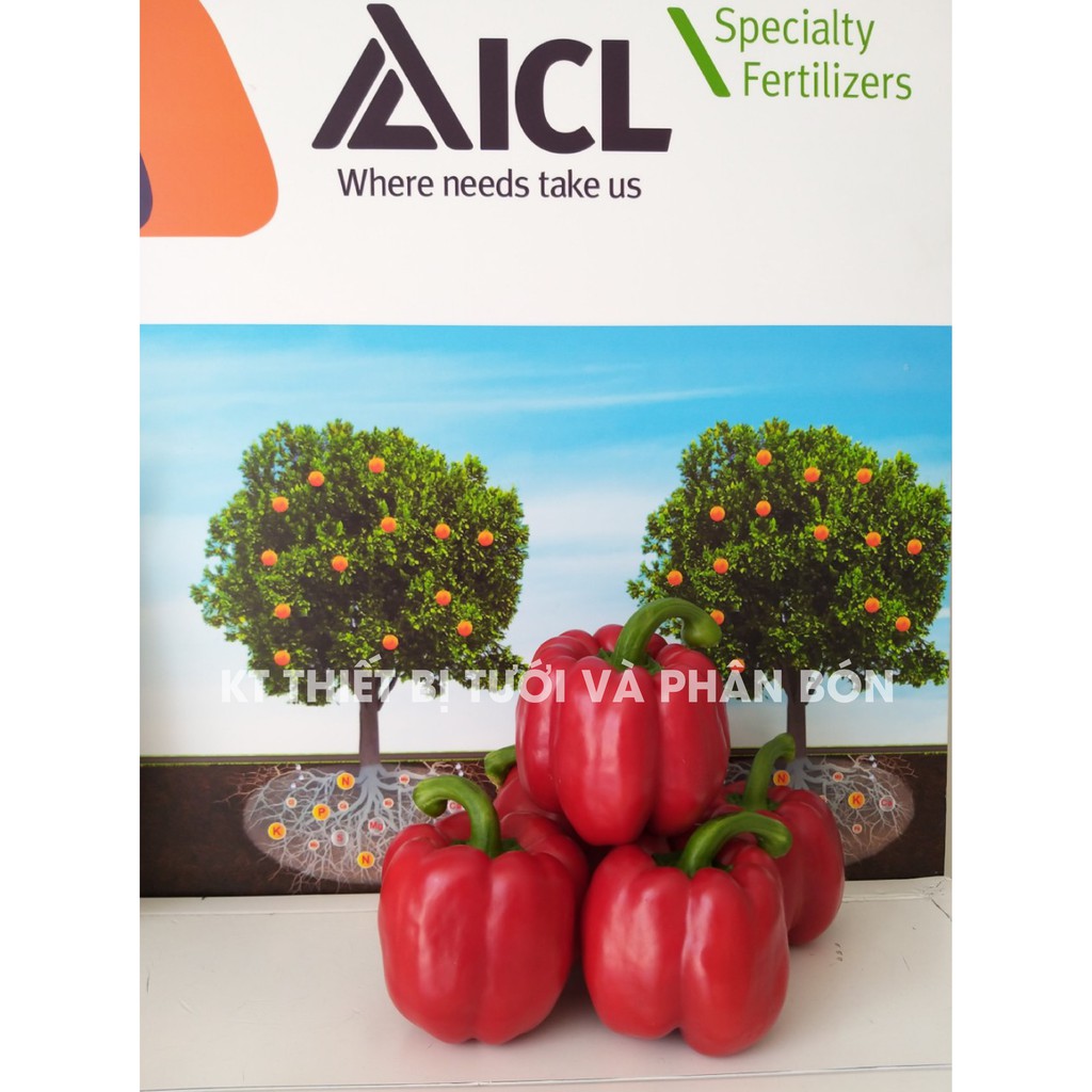 Phân bón Rau Hoa NPK 19-19-19+3CaO+TE -Israel