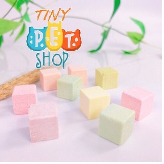 Phô mai trái cây cho hamster , thú cưng - miếng vuông