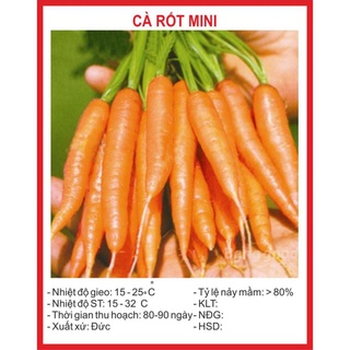 Hạt giống Cà Rốt Mini 0.1Gram hạt giống bốn mùa