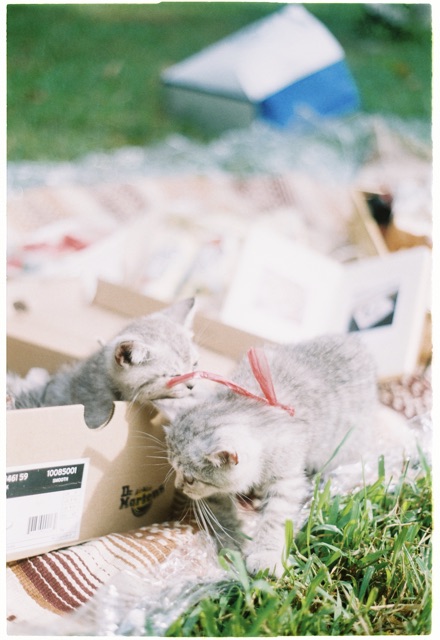 [Hanoi Film] Phim Fuji C200