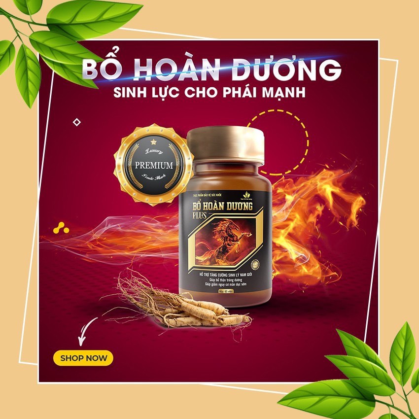 [CHÍNH HÃNG] Bổ Hoàn Dương Plus - Yếu Sinh Lý Hỗ Trợ Tăng Cường Sinh Lý Nam Giúp Bổ Thận Tráng Dương +Tăng Kích Thước.