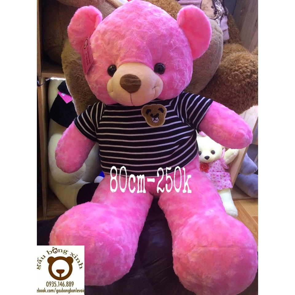 Teddy VNXK màu hồng lông xoắn size 80cm giá gốc 250k giảm còn 230k