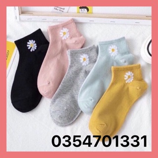 Tất hoa cúc , vớ hoa cúc