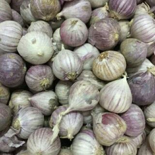 Tỏi cô đơn 1 tép la 1kg nha khách oi. Hàng mới về được cập nhật liên tục a  có thể dùng nấu ăn. Làm  tỏi đen được dùng