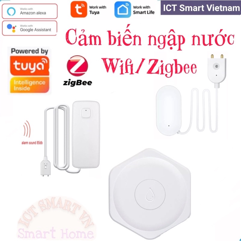 Cảm biến báo ngập nước Wifi/Zigbee Tuya