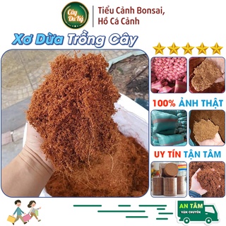 1 kg mụn xơ dừa đã qua xử lý, Sơ dừa - giá thể trồng cây cảnh, trồng rau trong chậu