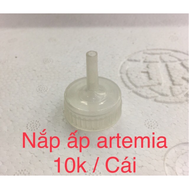 Nắp Bình Ấp Artemia - phụ kiện cá