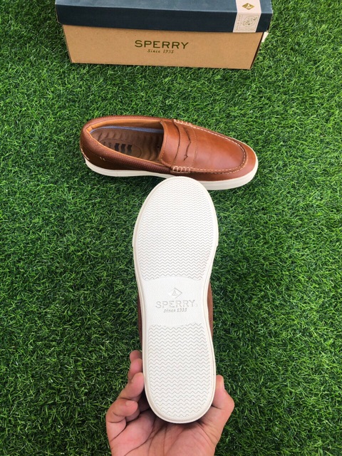 Giày sperry chính hãng