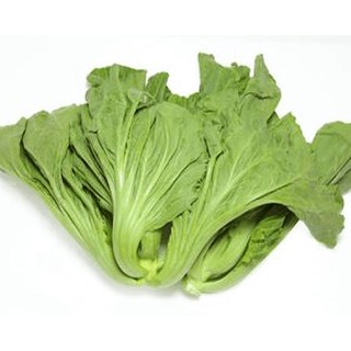Hạt giống rau Cải bẹ dưa (20gr)