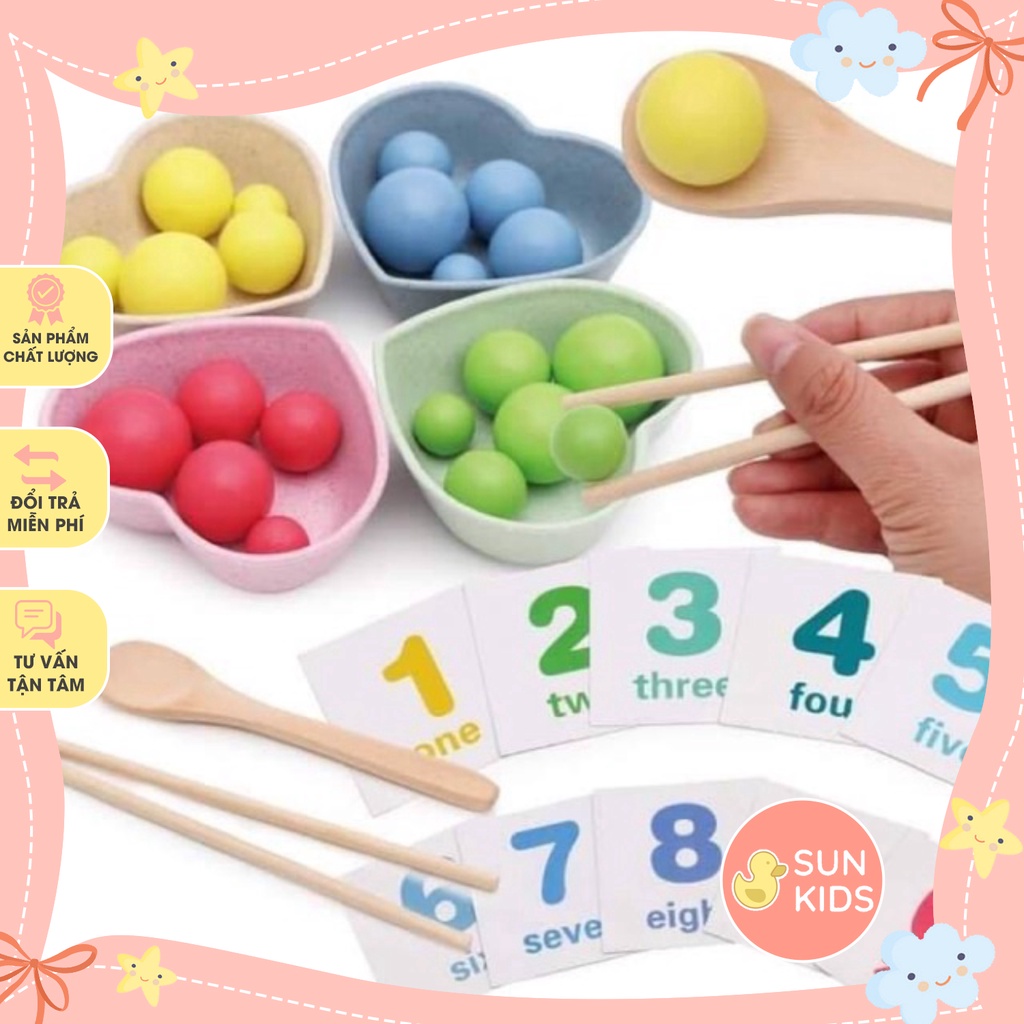 Đồ chơi gỗ giáo cụ montessori gắp bi thông minh, an toàn, giá rẻ cho trẻ