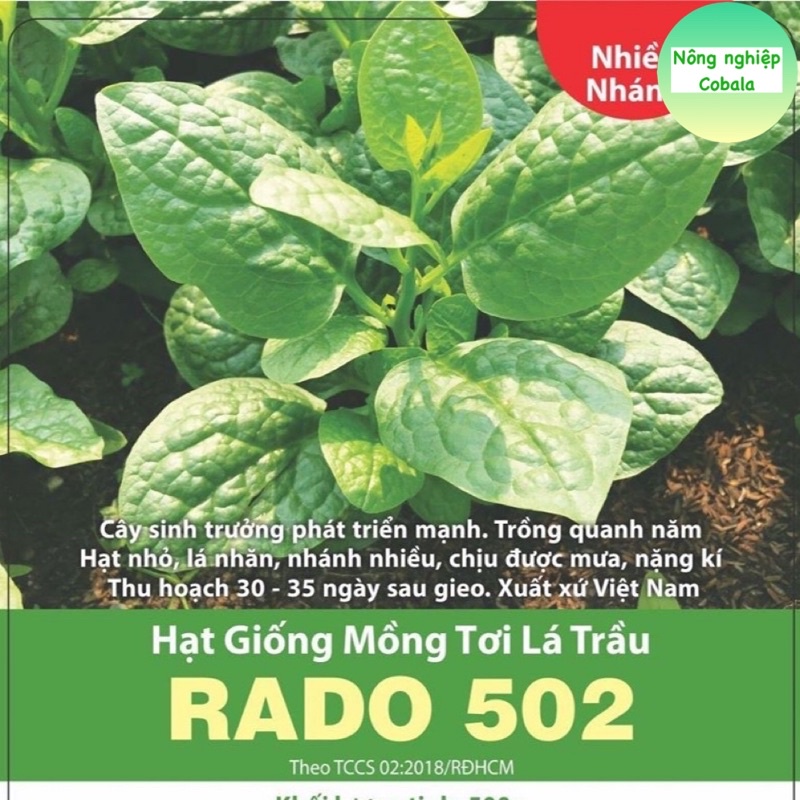 Hạt Giống Mồng Tơi Lá Trầu (RADO502) 20gr