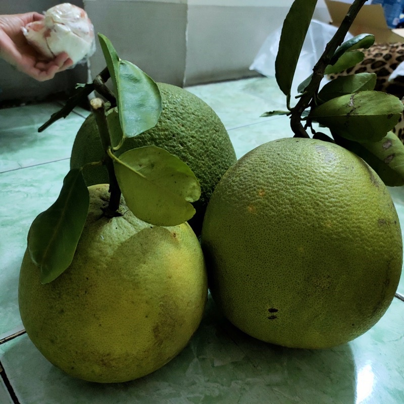 Bưởi da xanh ruột hồng