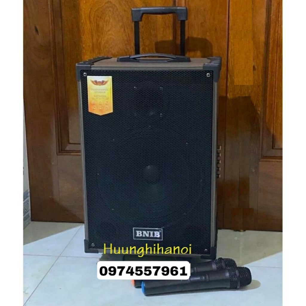 Loa kéo karaoke bluetooth giá rẻ BNIB T8 mini bass 2 tấc Loa kẹo kéo di động thùng gỗ