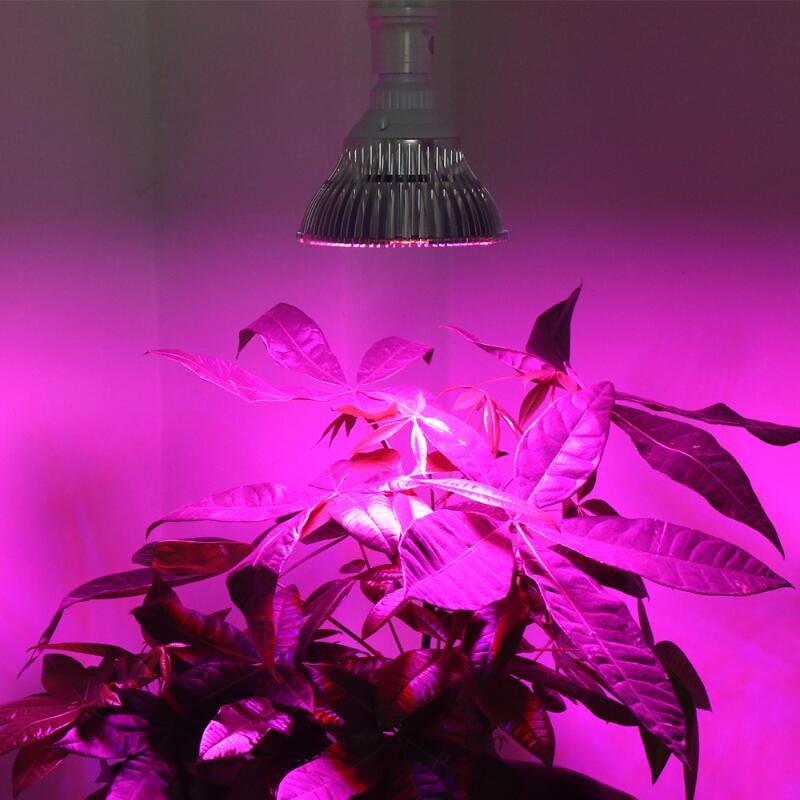 GBKOF E27 LED Grow Light All-In-One Full Spectrum Red Blue UV IR Led trồng Đèn cho vườn thủy canh Hoa cây Rau.