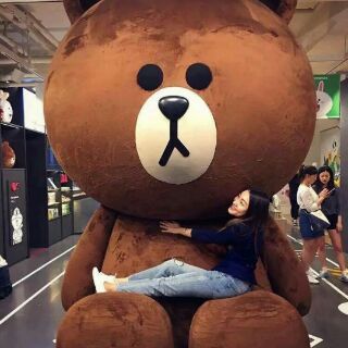 Gấu bông Brown 1M2