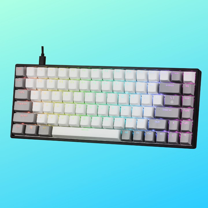 MỚI NHẤT 2021 - Bàn Phím Cơ Nhỏ Gọn chuyên GAME EDRA EK384 BÀN PHÍM CƠ 75% - Keycaps PBT - LED RGB  - EDRAshop