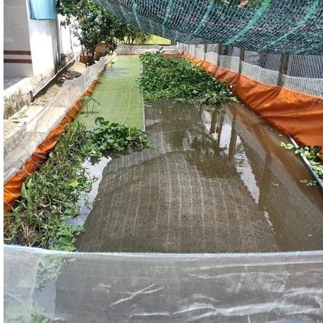 BỂ BẠT LƯỚI NUÔI ỐC ẾCH CÁ