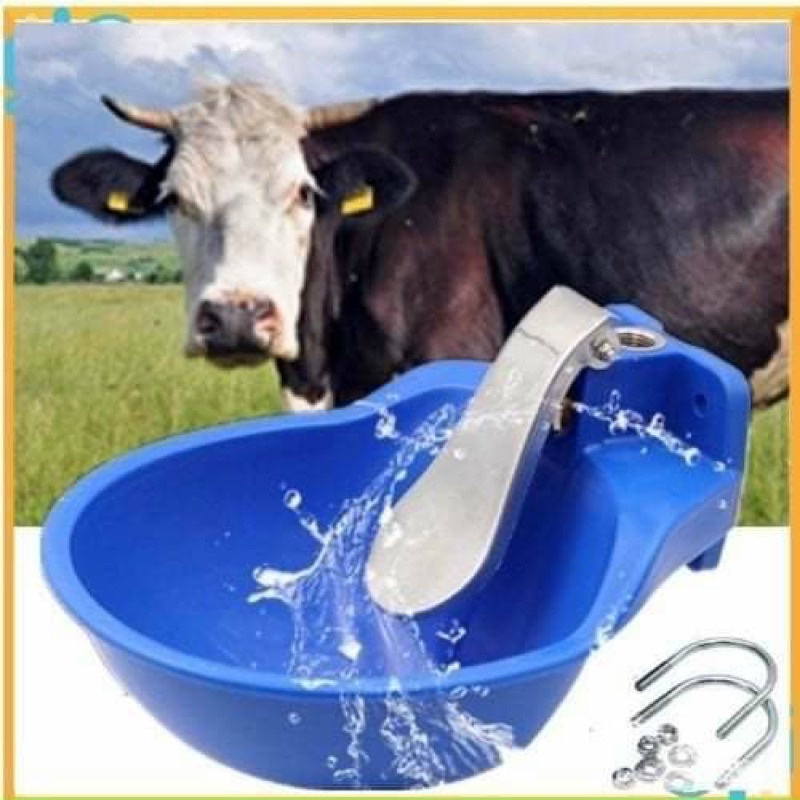 Máng nước tự động cho Bò tiện lợi - Máng uống nước tự động - Hà Vân Store