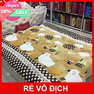 Chăn lông cừu mùa đông siêu ấm, mịn hàng loại 1