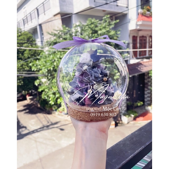 Quả cầu thuỷ tinh cây thông Noel mini, quà tặng giáng sinh merry christmas