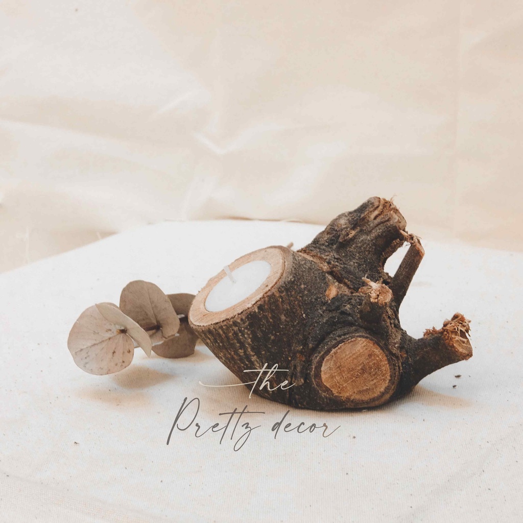 Chậu Khúc Gỗ Tự Nhiên Dáng Cổ Thụ Trồng Cây, Decor, Trang Trí Vintage
