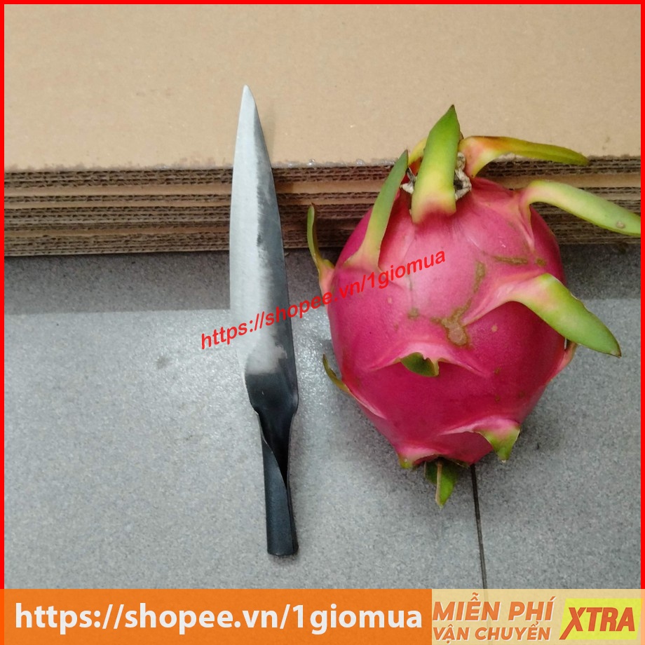 Dao nhíp ô tô làm làm lòng tiện lợi - Dụng cụ nhà bếp