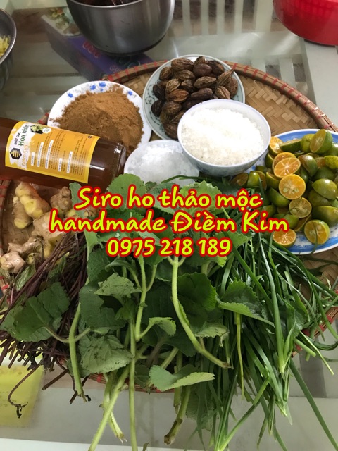 Siro Ho Thảo Mộc Dân Gian Điềm Kim | BigBuy360 - bigbuy360.vn