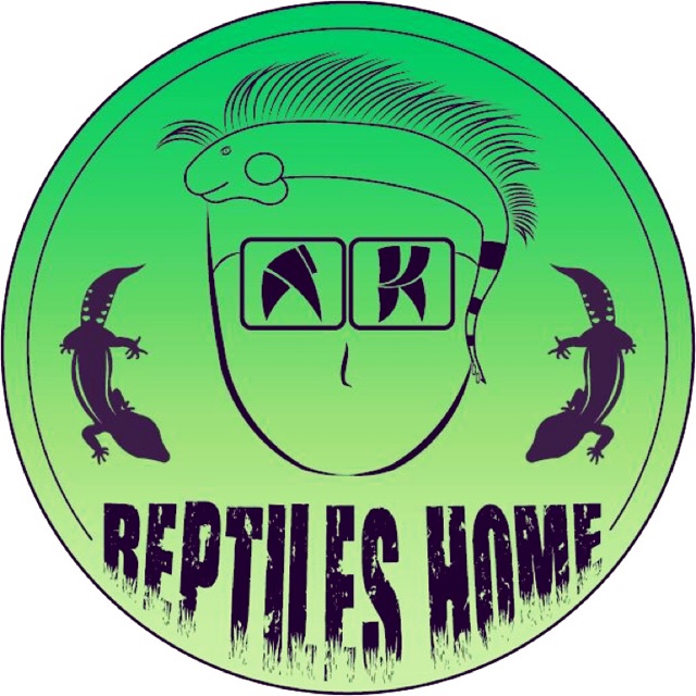 AK’s Reptiles Home (Ann Khang)