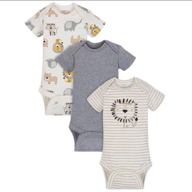 Set 3 Body Gerber Mỹ chính hãng