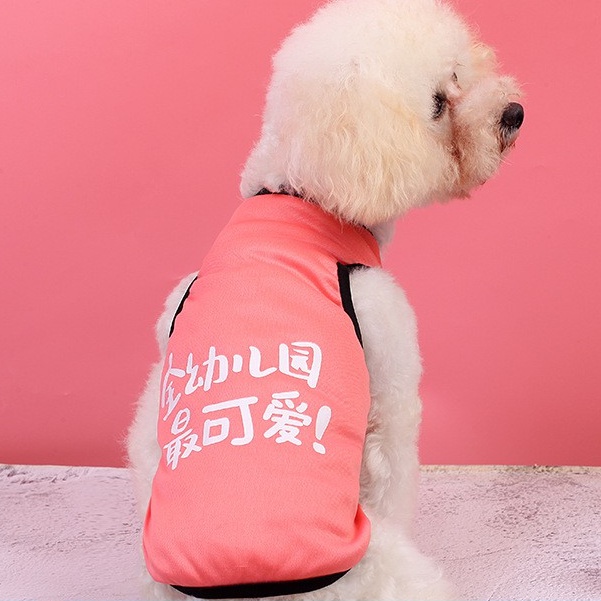 Quần Áo Thú Cưng, Áo Cho Chó Mèo, Thời Trang dành cho ngày hè, có size từ XS-XXL, A5