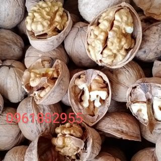 Óc chó giấy nếp SaPa 500g, loại đặc biệt mỏng vỏ, thơm ngon ngậy, an toàn không tẩy trắng.