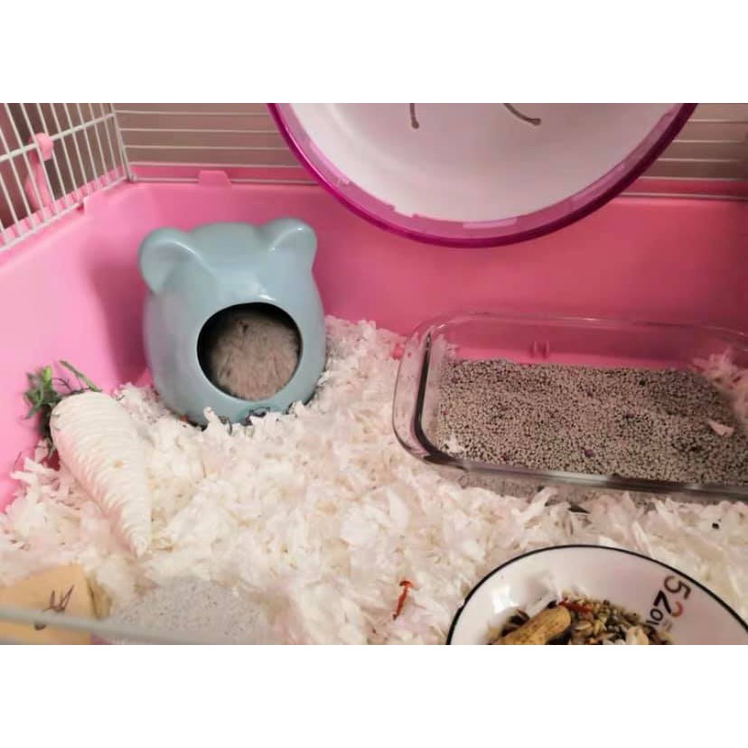 Giấy lót Jonsanty cao cấp dành cho Hamster