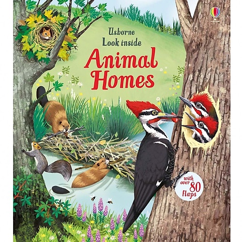 Sách Usborne - tương tác lật mở cho bé 6-8 tuổi Look inside Animal Homes