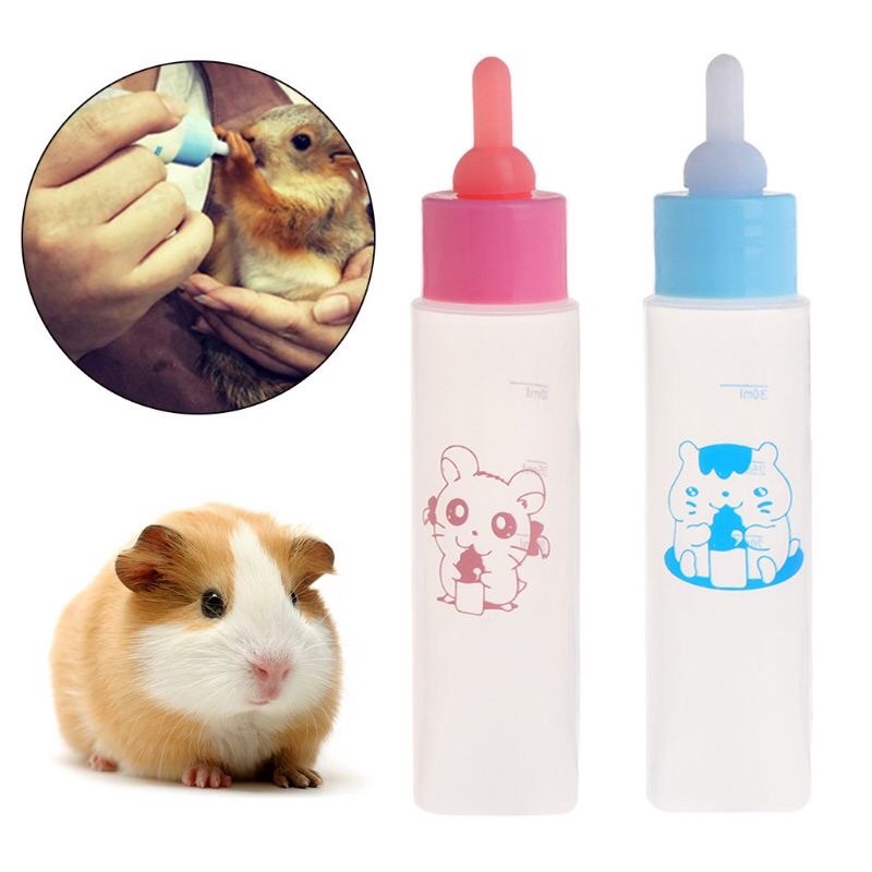 Bình sữa 30ml  dành cho thú cưng nhỏ: thỏ, bọ, nhím, sóc... bình bú cho thú cưng - Kitty Pet Shop