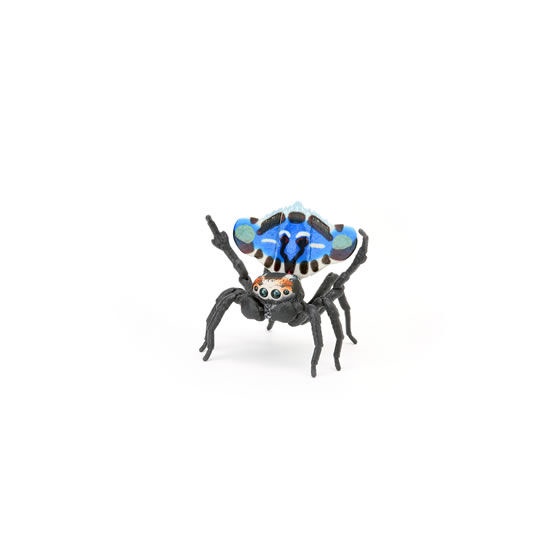 MÔ HÌNH TRỨNG GASHAPON Peacock spider