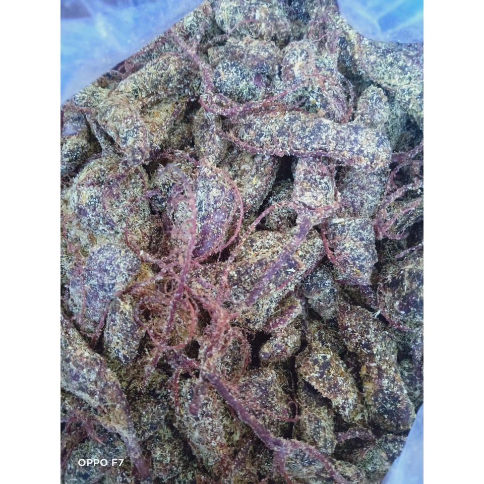 Ô mai Me gừng chua ngọt thơm siêu ngon- Gói 1kg