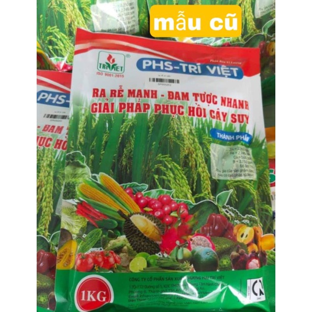 PHS Trí Việt gói 1kg - ra rễ mạnh , đâm tược nhanh , phục hồi cây suy