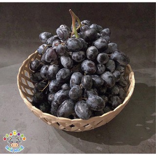 Nho Đen Mỹ Không Hạt - Black Seedless Grapes